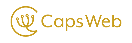 オンプレミス型PACS Caps-Web